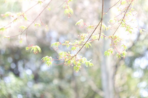 十大国产平板电脑排名（十大良心杂牌平板）